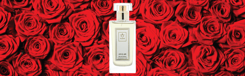 ANGLAIS Eau de Parfum Women - Tiziana Parfum Store